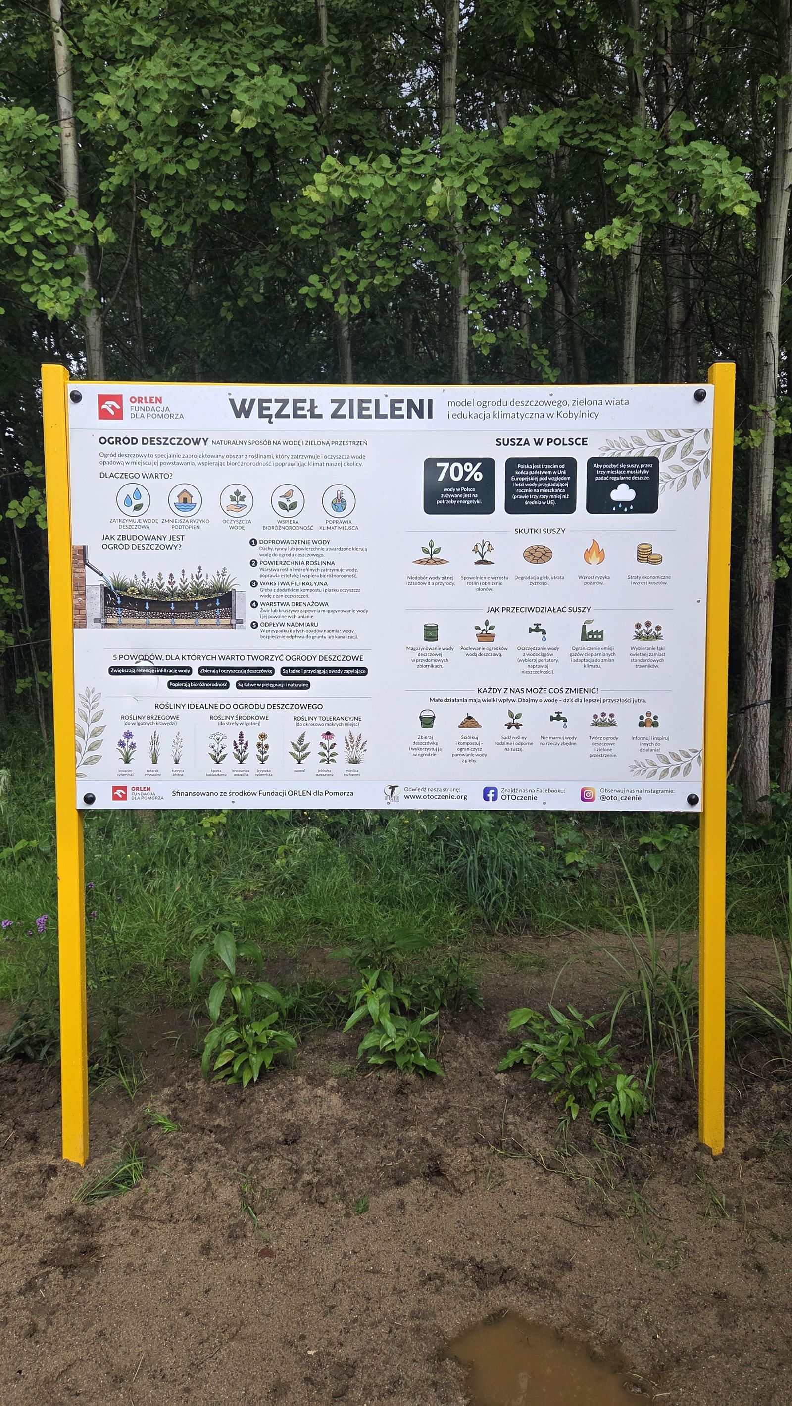Zdjęcie 1 z projektu Węzeł zieleni